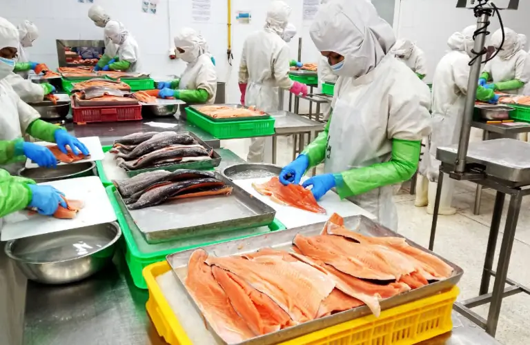 About Friends International Seafood Exporters