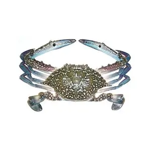 Blue Swimming Crab Crustaceans
