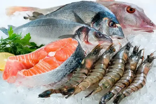 Exporters of live, fresh and frozen seafood around the world