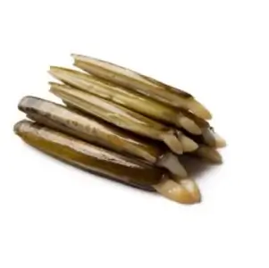 Razor Clam Shellfish
