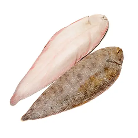 Tongue Sole Sea Water Fish